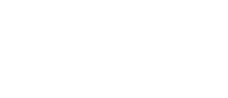 STEELECT__weiss_sRGB-768x330.png